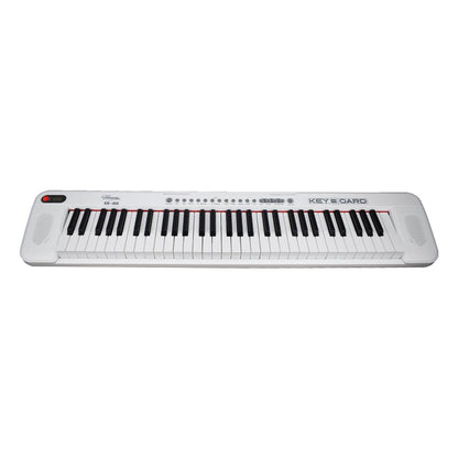 Henrix Portable Keyboards Henrix KB-601 Portable 61 Full Size Keys Keyboard with Adapter and Microphone