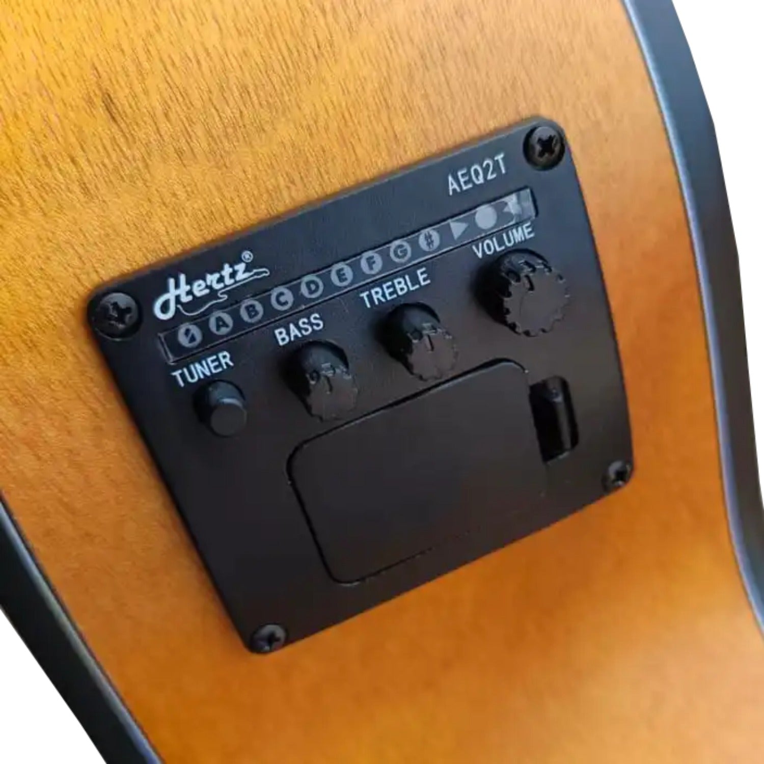 Hertz Electro Acoustic Guitars Hertz HZA-3900 6 String Electro Acoustic Guitar #color_red