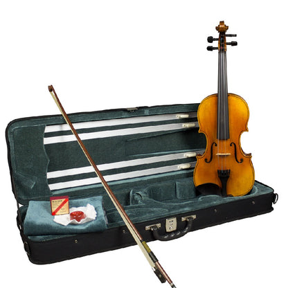Hidersine Violins Hidersine WV100SRA 4/4 Venezia Outfit Violin