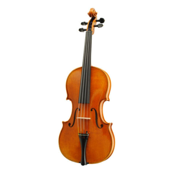 hofner violins hofner h115-bg-v4 guadagnini violin oufit
