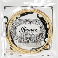 Ibanez Acoustic Guitar Strings Ibanez IACS6C Acoustic Guitar Strings - 6 String, Light