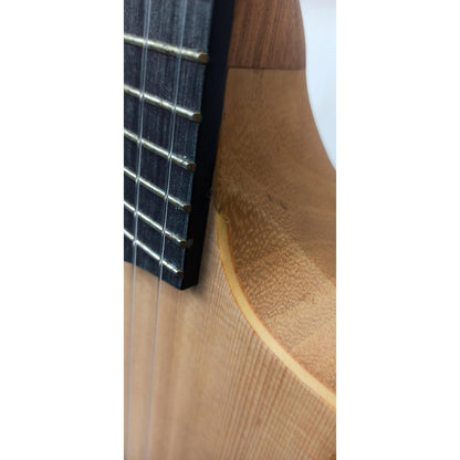 Ibanez Acoustic Guitars Ibanez AUP10N AU tenor 6 String Acoustic Guitar - Open Box