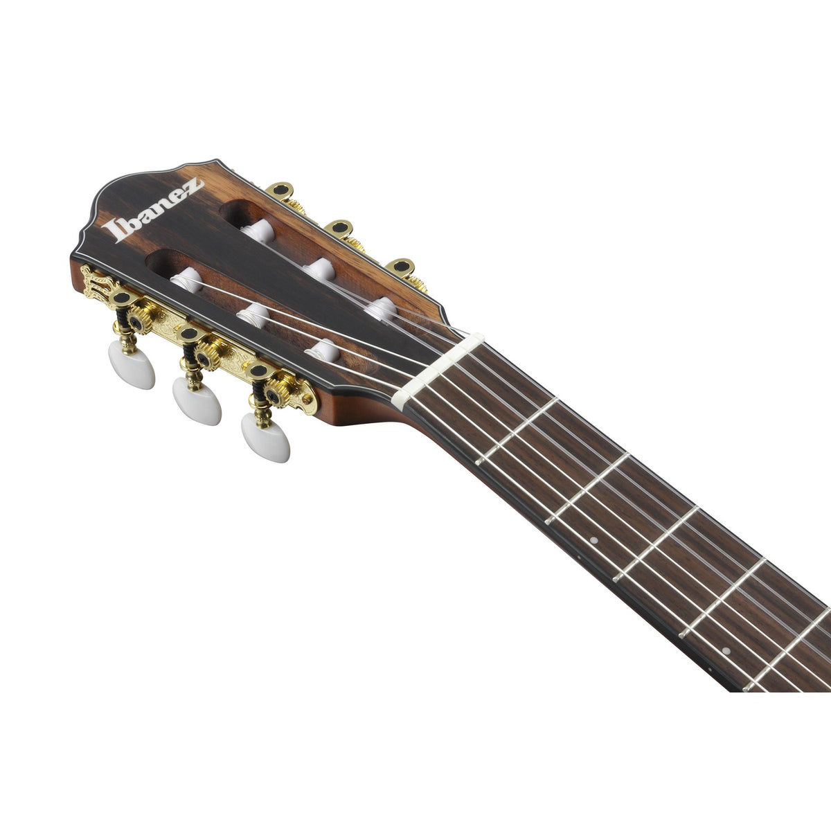 Ibanez Acoustic Guitars Ibanez FRH10N 6 String Acoustic Guitar