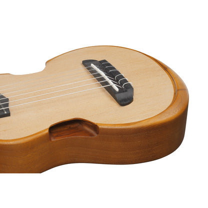 Ibanez Acoustic Guitars Open Pore Natural Ibanez AUP10N AU tenor 6 String Acoustic Guitar 