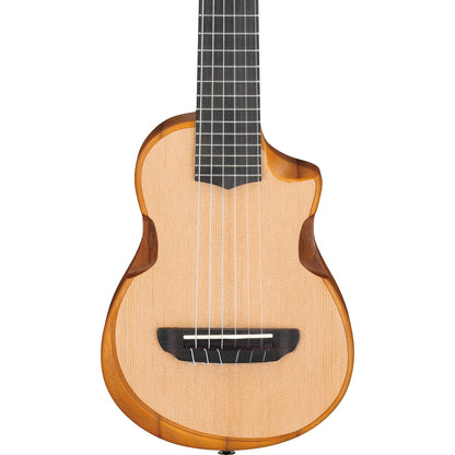 Ibanez Acoustic Guitars Open Pore Natural Ibanez AUP10N AU tenor 6 String Acoustic Guitar 