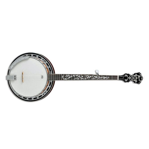Ibanez online b200 banjo
