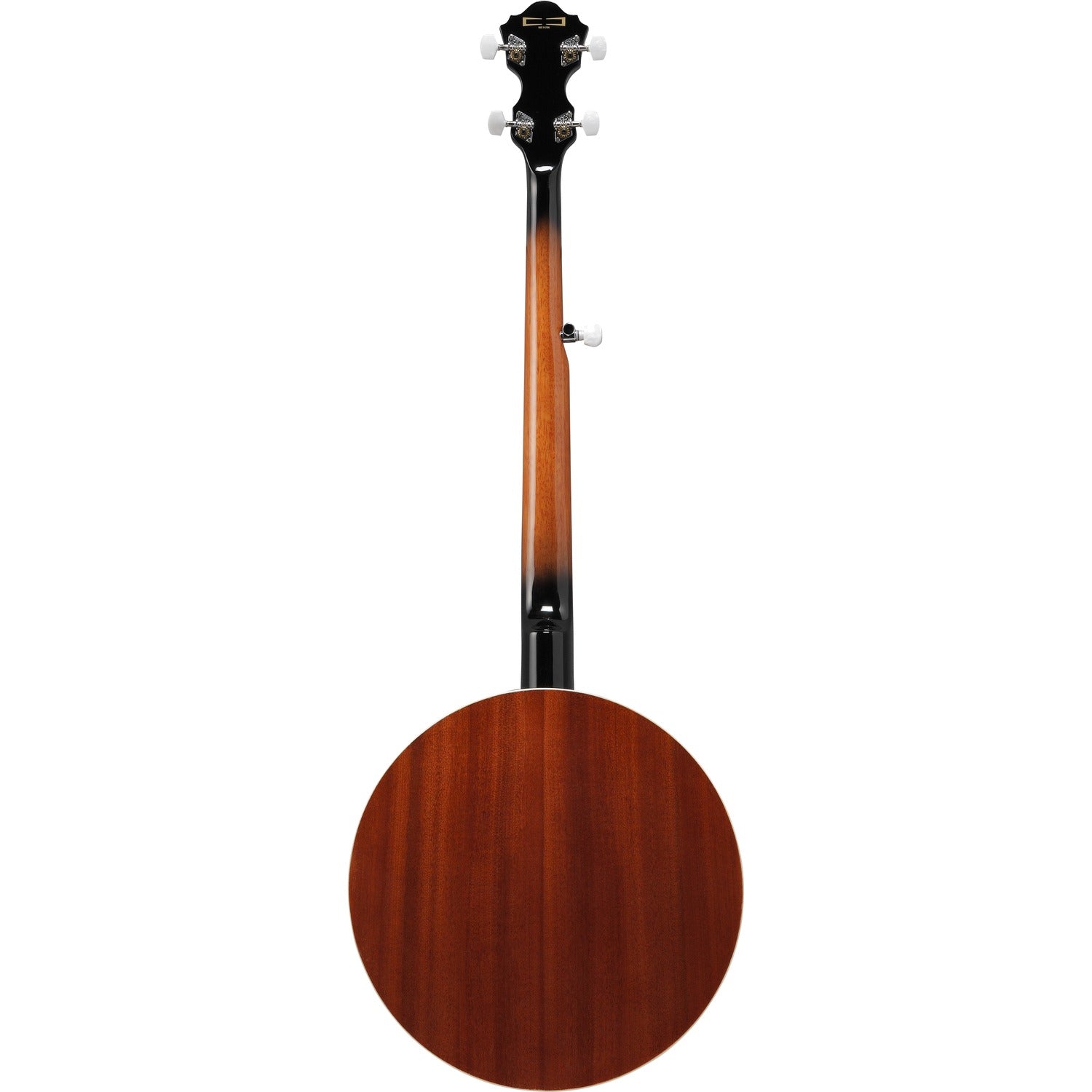 Ibanez Banjos Ibanez Banjo B50