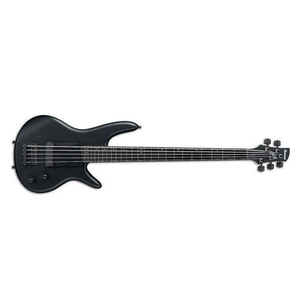 Ibanez Bass Guitars Ibanez GWB35 Gary Willis Signature Fretless 5-String Bass Guitar