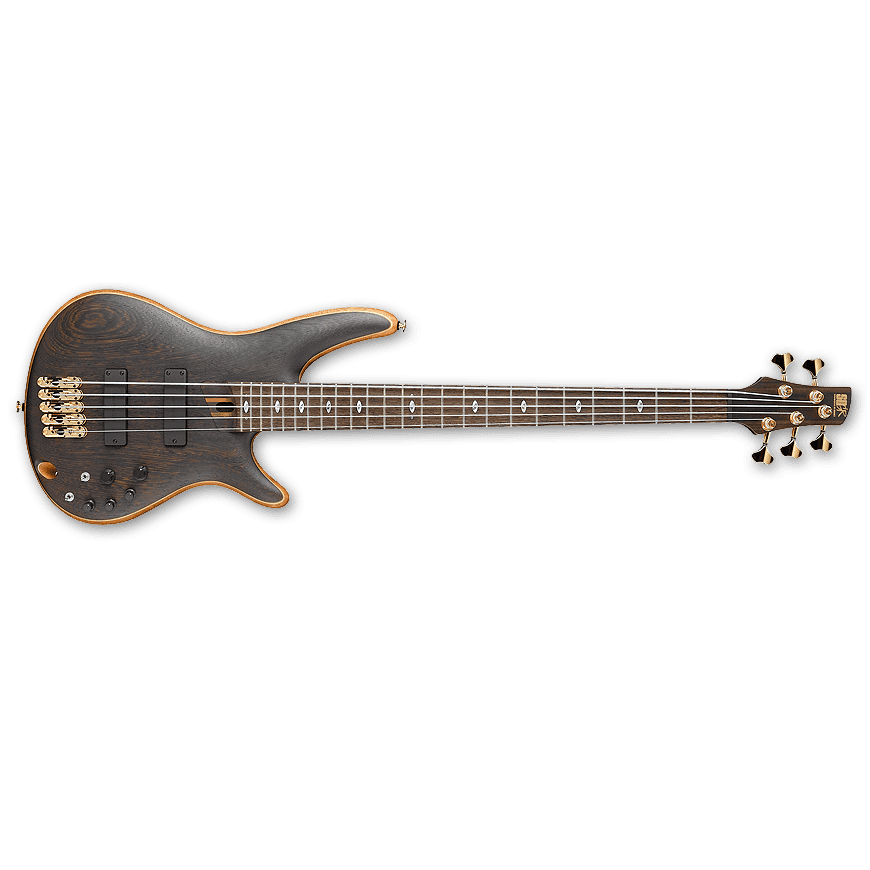 ibanez bass guitars ibanez sr5005 sr prestige 5 string electric bass guitar with case