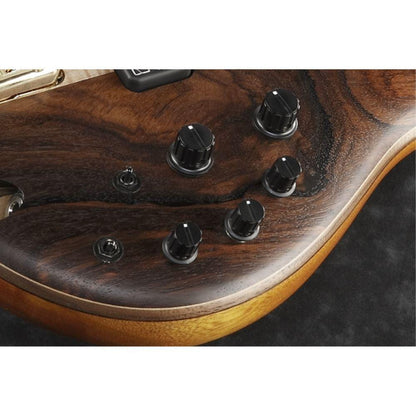 ibanez bass guitars ibanez sr655e-nnf bass electric guitar- natural browned burst flat
