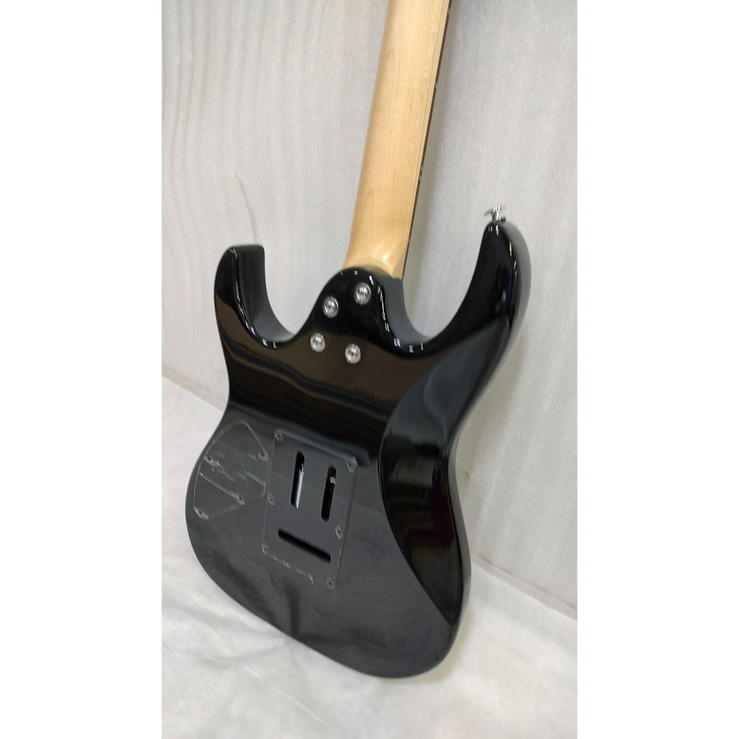Ibanez Electric Guitars 2.03E+11 Ibanez GRX70QA RG Gio Series 6-String Electric Guitar - Open Box