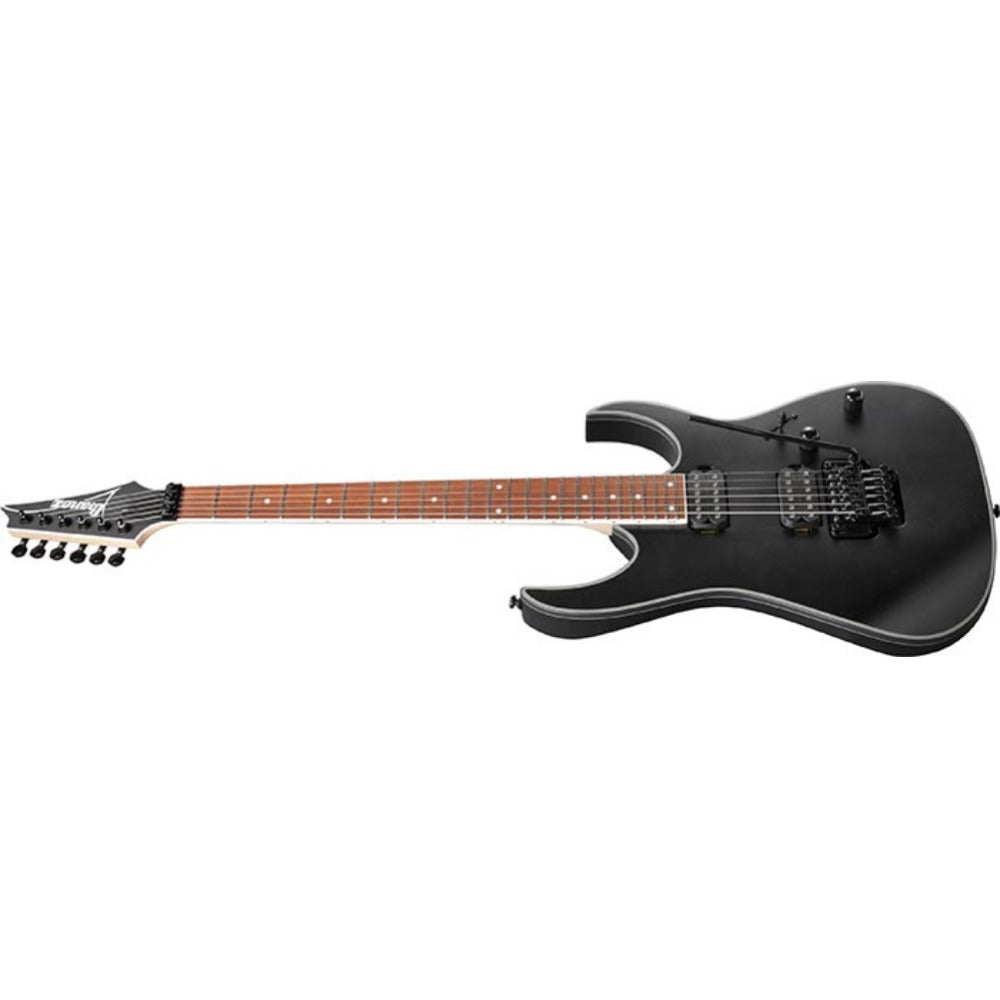 Ibanez Electric Guitars Black Flat Ibanez RG420EX RG Series 6 String Electric Guitar