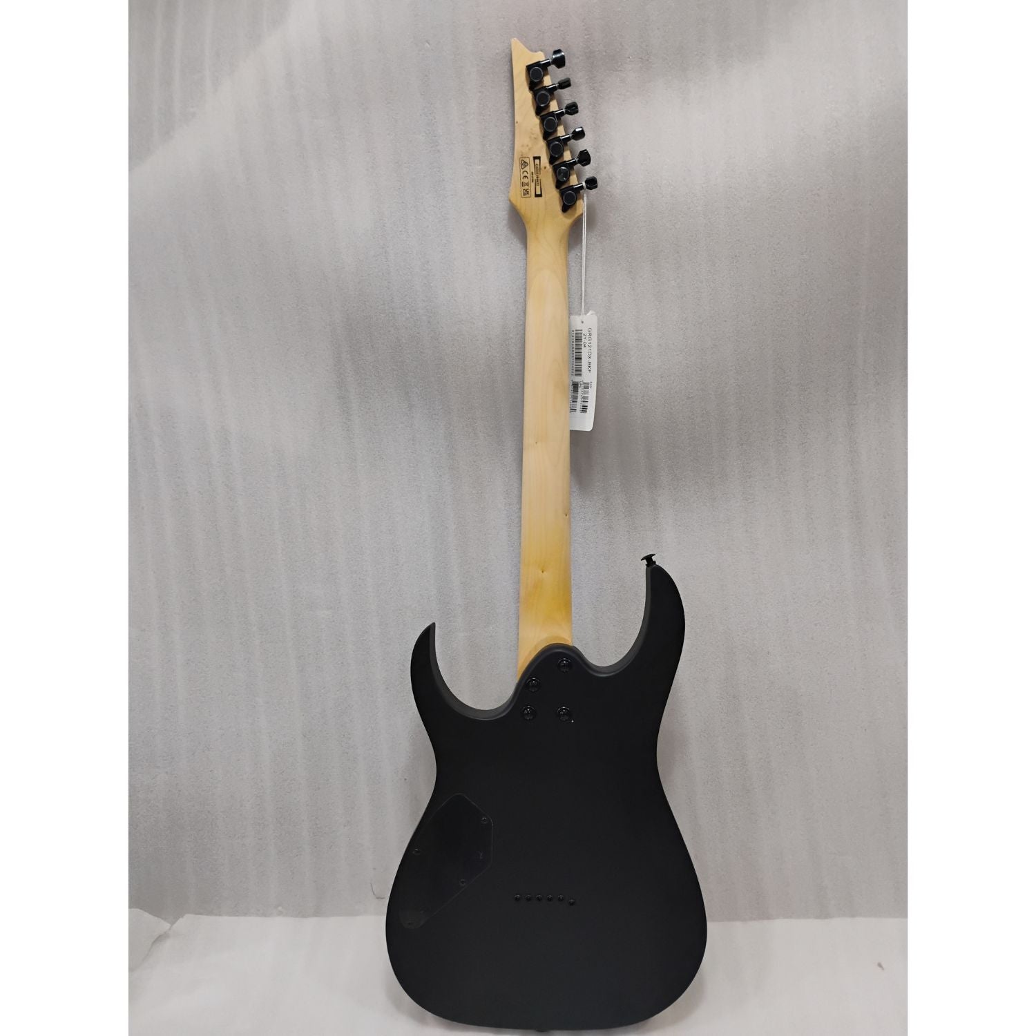 Ibanez Electric Guitars Ibanez GRG121DX RG Gio Series Electric Guitar - Open Box