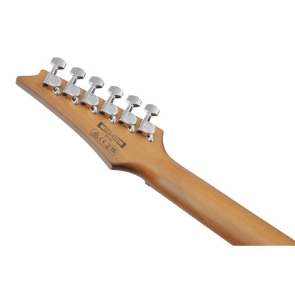 Ibanez Electric Guitars Ibanez GRG121SP 6 String Electric Guitar 