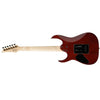 Ibanez Electric Guitars Ibanez GRG220PA GIO Series 6 String Electric Guitar