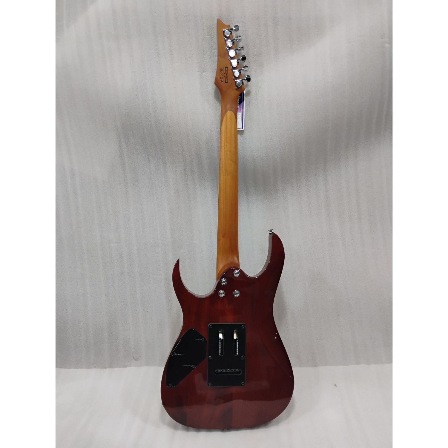 Ibanez Electric Guitars Ibanez GRG220PA1 RG Gio Series 6 String Electric Guitar - Open Box #barcode_202601070732