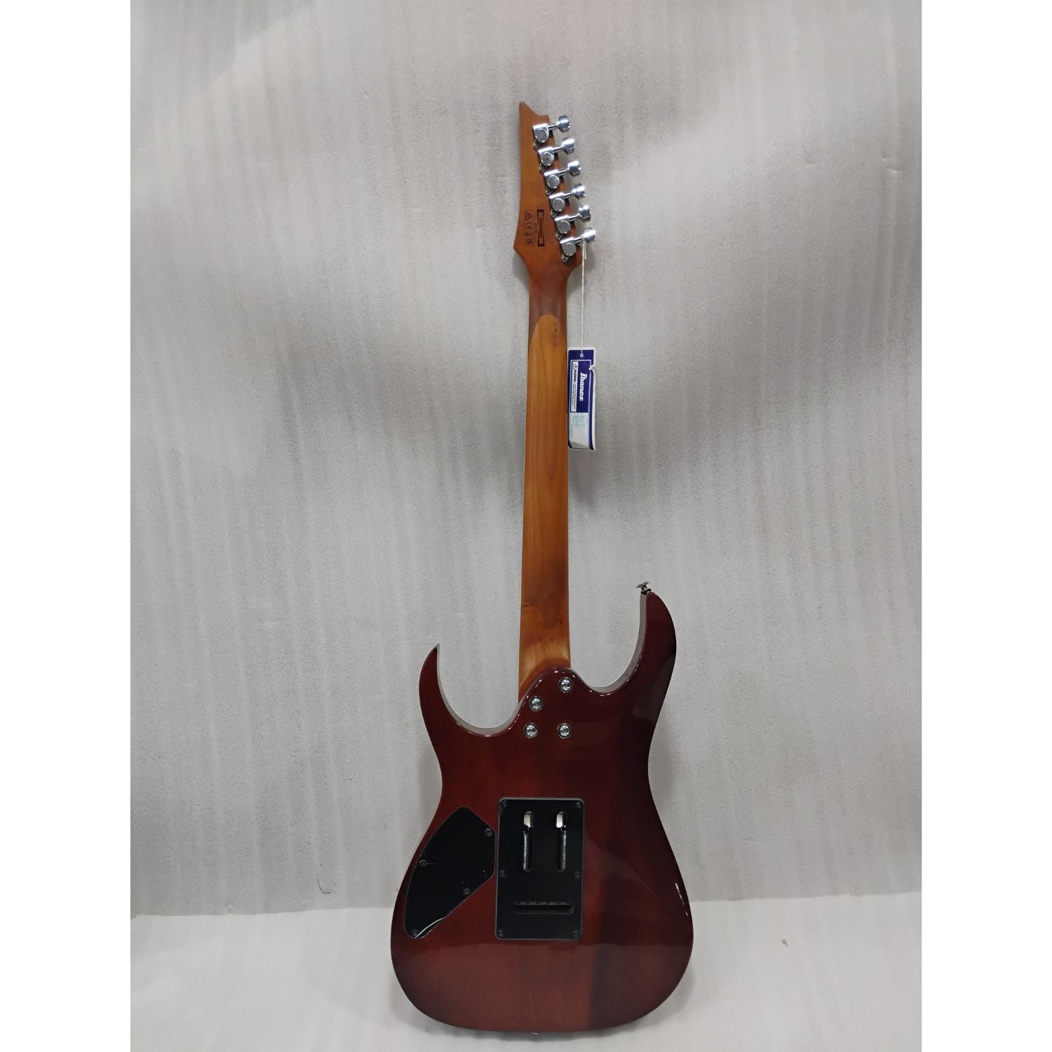 Ibanez Electric Guitars Ibanez GRG220PA1 RG Gio Series 6 String Electric Guitar - Open Box #barcode_202601040455