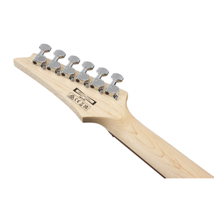 Ibanez Electric Guitars Ibanez GRX70QA RG Gio Series 6-String Electric Guitar 