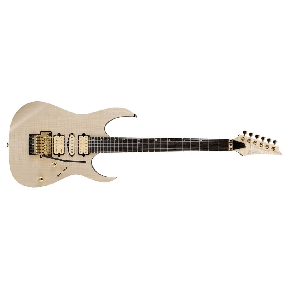 ibanez electric guitars ibanez rg1070fm premium electric guitar