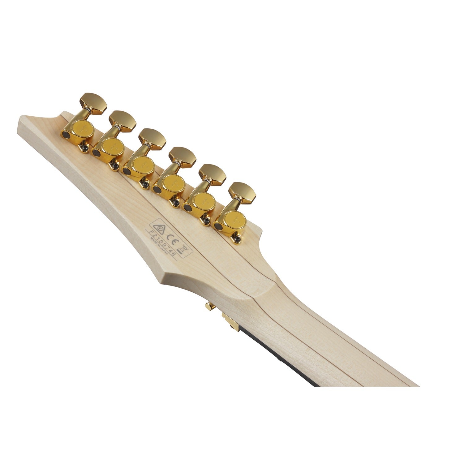 Ibanez Electric Guitars Ibanez RGA622XH 6 String Electric Guitar with Case