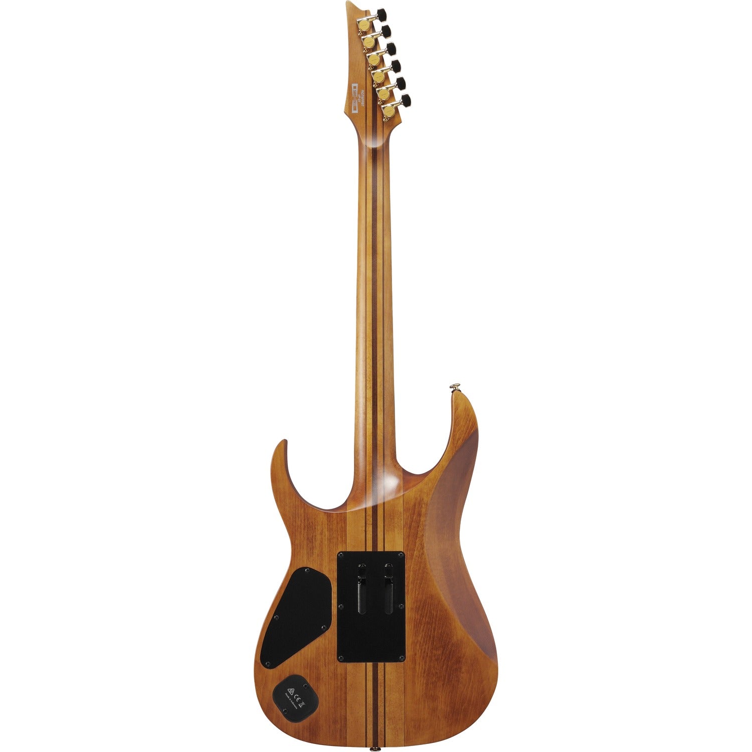 Ibanez Electric Guitars Ibanez RGT1220PB Premium Electric Guitar with Bag