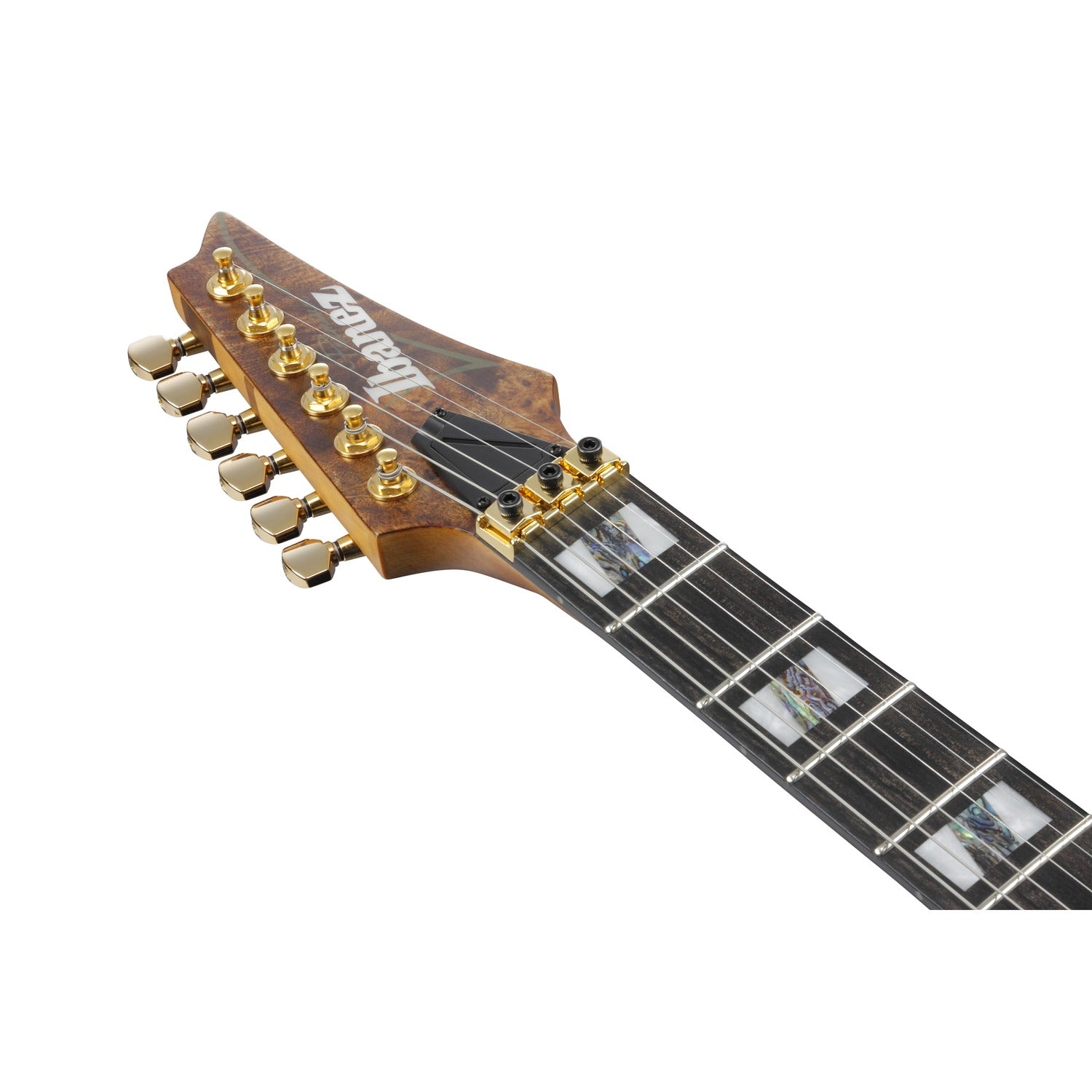 Ibanez Electric Guitars Ibanez RGT1220PB Premium Electric Guitar with Bag