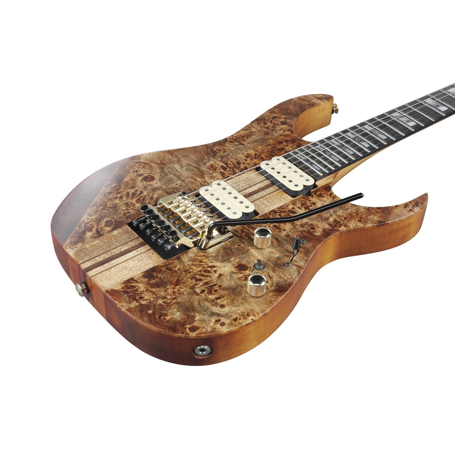 Ibanez Electric Guitars Ibanez RGT1220PB Premium Electric Guitar with Bag