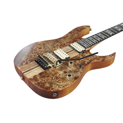 Ibanez Electric Guitars Ibanez RGT1220PB Premium Electric Guitar with Bag