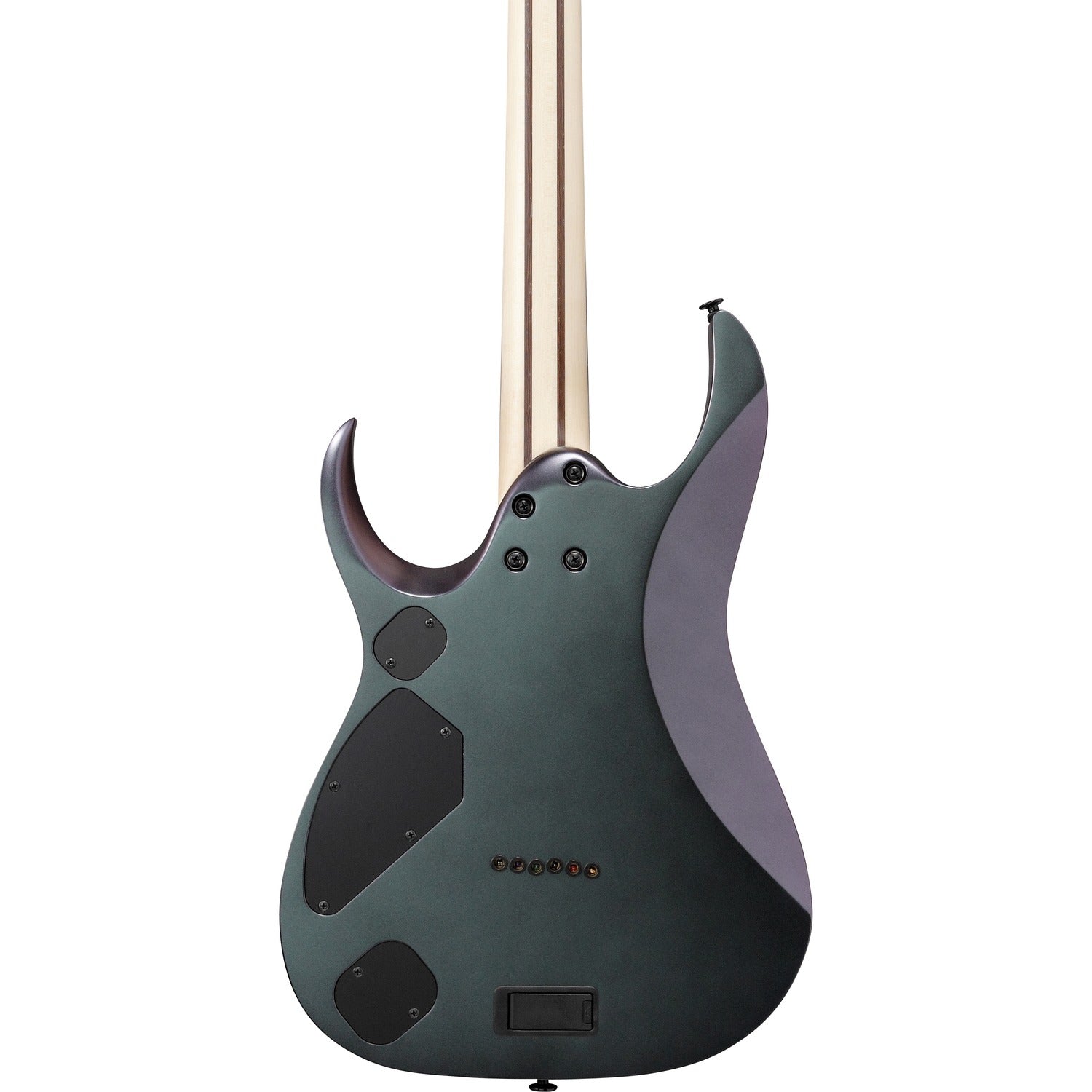 Ibanez Electric Guitars Polar Lights Flat Ibanez RGD3121 6 String Electric Guitar with Case