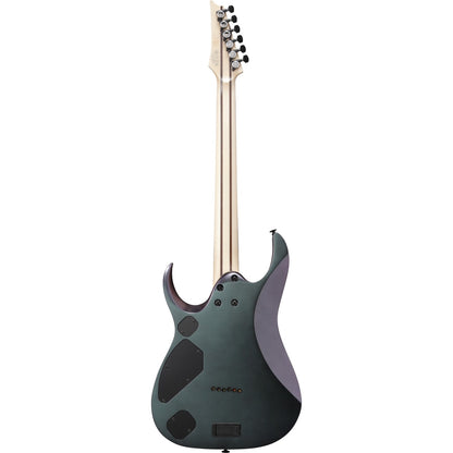 Ibanez Electric Guitars Polar Lights Flat Ibanez RGD3121 6 String Electric Guitar with Case