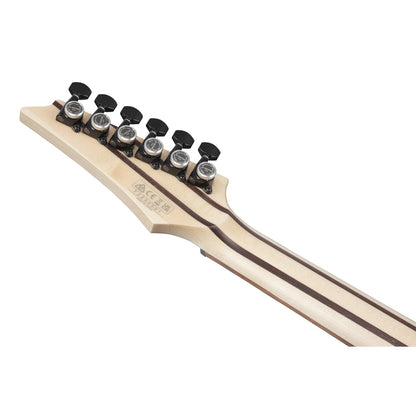 Ibanez Electric Guitars Polar Lights Flat Ibanez RGD3121 6 String Electric Guitar with Case