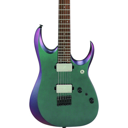 Ibanez Electric Guitars Polar Lights Flat Ibanez RGD3121 6 String Electric Guitar with Case