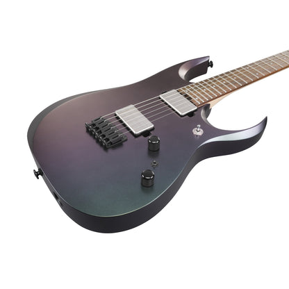 Ibanez Electric Guitars Polar Lights Flat Ibanez RGD3121 6 String Electric Guitar with Case