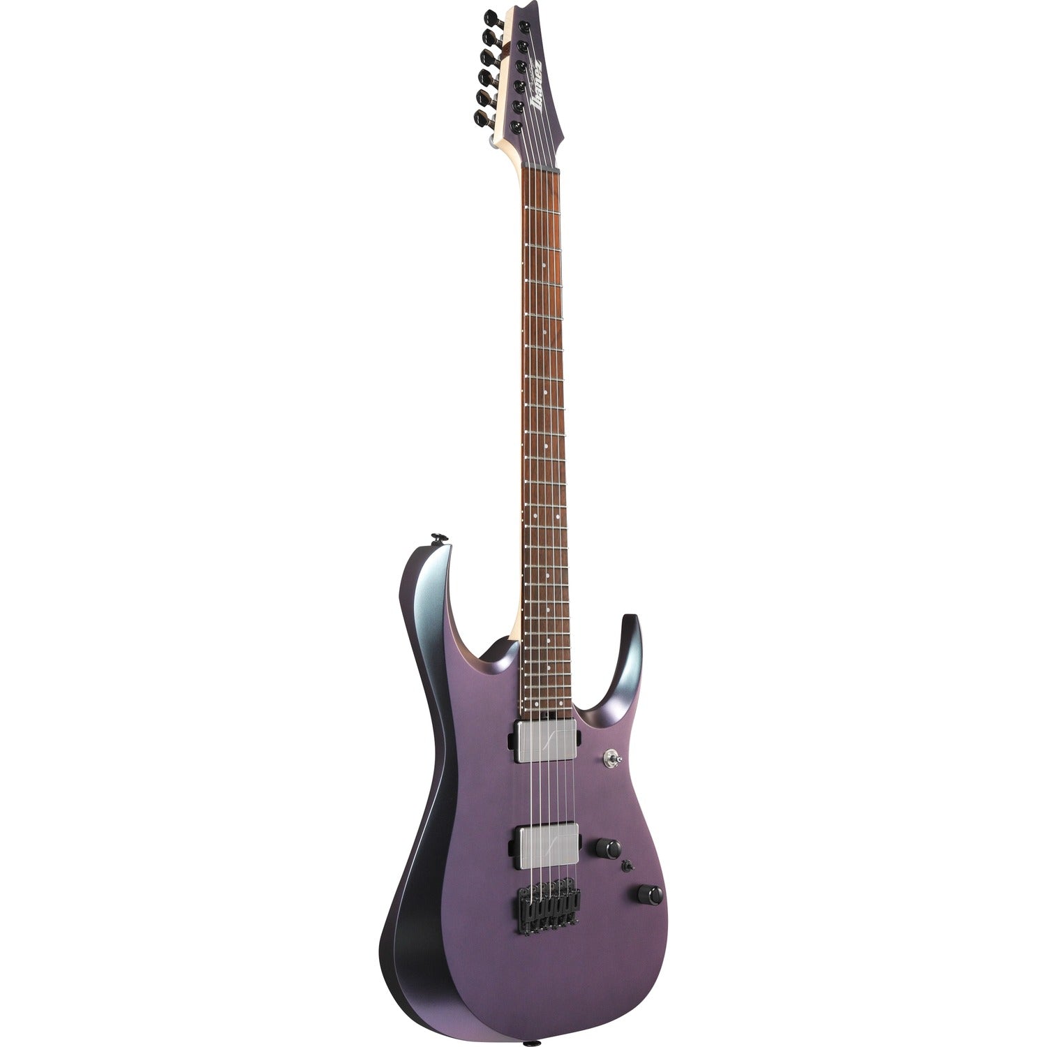Ibanez Electric Guitars Polar Lights Flat Ibanez RGD3121 6 String Electric Guitar with Case