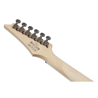 Ibanez Electric Guitars Sea Shore Matte Ibanez RG421S 6 String Electric Guitar