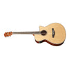 Ibanez Electro Acoustic Guitars Ibanez AEG8E Electro-Acoustic Guitar