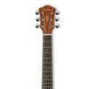 Ibanez Electro Acoustic Guitars Ibanez AEG8E Electro-Acoustic Guitar