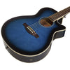 Ibanez Electro Acoustic Guitars Ibanez AEG8E Electro-Acoustic Guitar