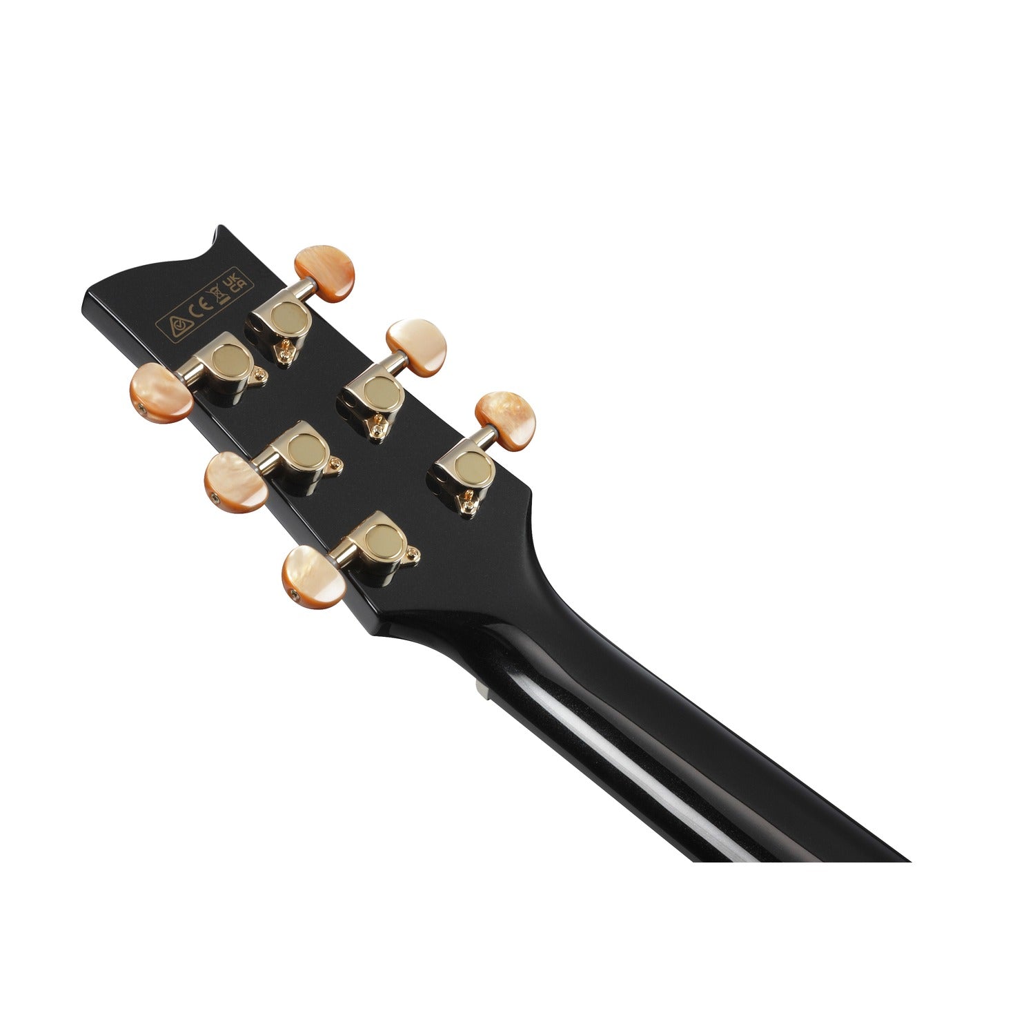 Ibanez Electro Acoustic Guitars Ibanez EP5 Steve Vai Signature Series Acoustic-Electric Guitar