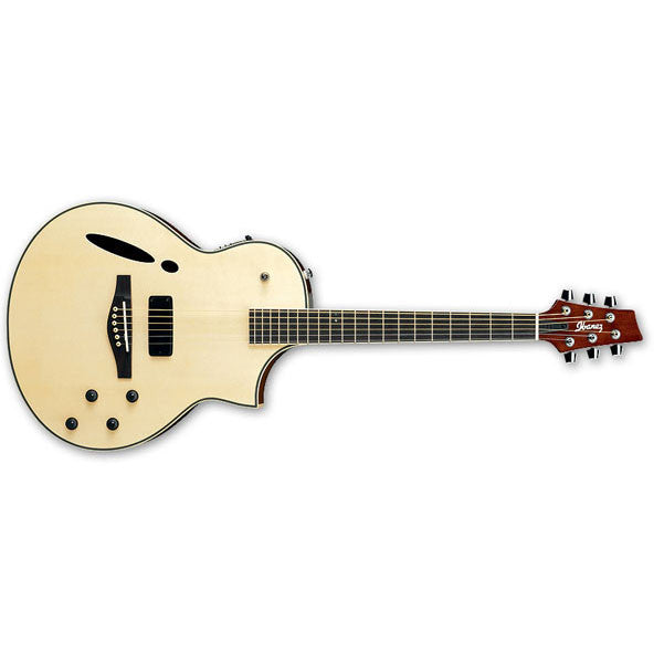 Ibanez Electro Acoustic Guitars Ibanez Montage Series MSC350-NT Acoustic-Electric Guitar