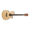 Ibanez Electro Acoustic Guitars Natural Ibanez AEG8E Electro-Acoustic Guitar
