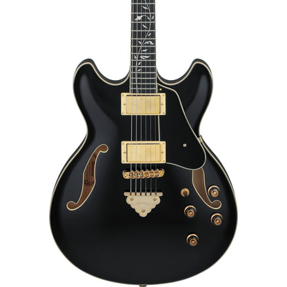 Ibanez Hollow & Semi-Hollow Electric Guitars Black Ibanez AS93SP AS Series 6 String Hollow Bodies Electric Guitar