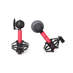 Icon Condenser Microphones Icon Dragon Large-diaphragm Condenser Microphone with Shock Mount