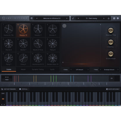 Infinitone Virtual Instruments Infinitone 2 Dynamic Micro Tuning Instrument