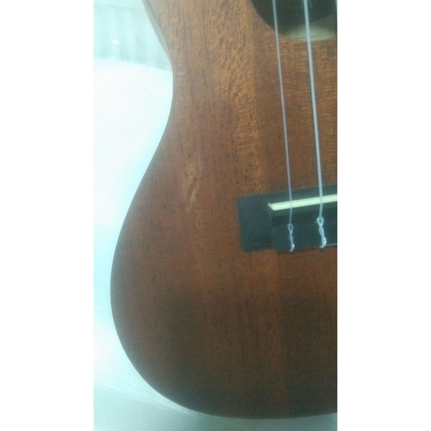 Kala Concert Ukuleles Kala Makala MK-C Concert Ukulele - Open Box B Stock