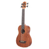 Kala U-Bass Kala Wanderer Acoustic-Electric U Bass