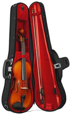 karl hofner violins karl hofner allegretto 3/4 violin outfit