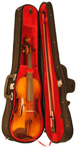 karl hofner violins karl hofner allegro 1/2 violin outfit