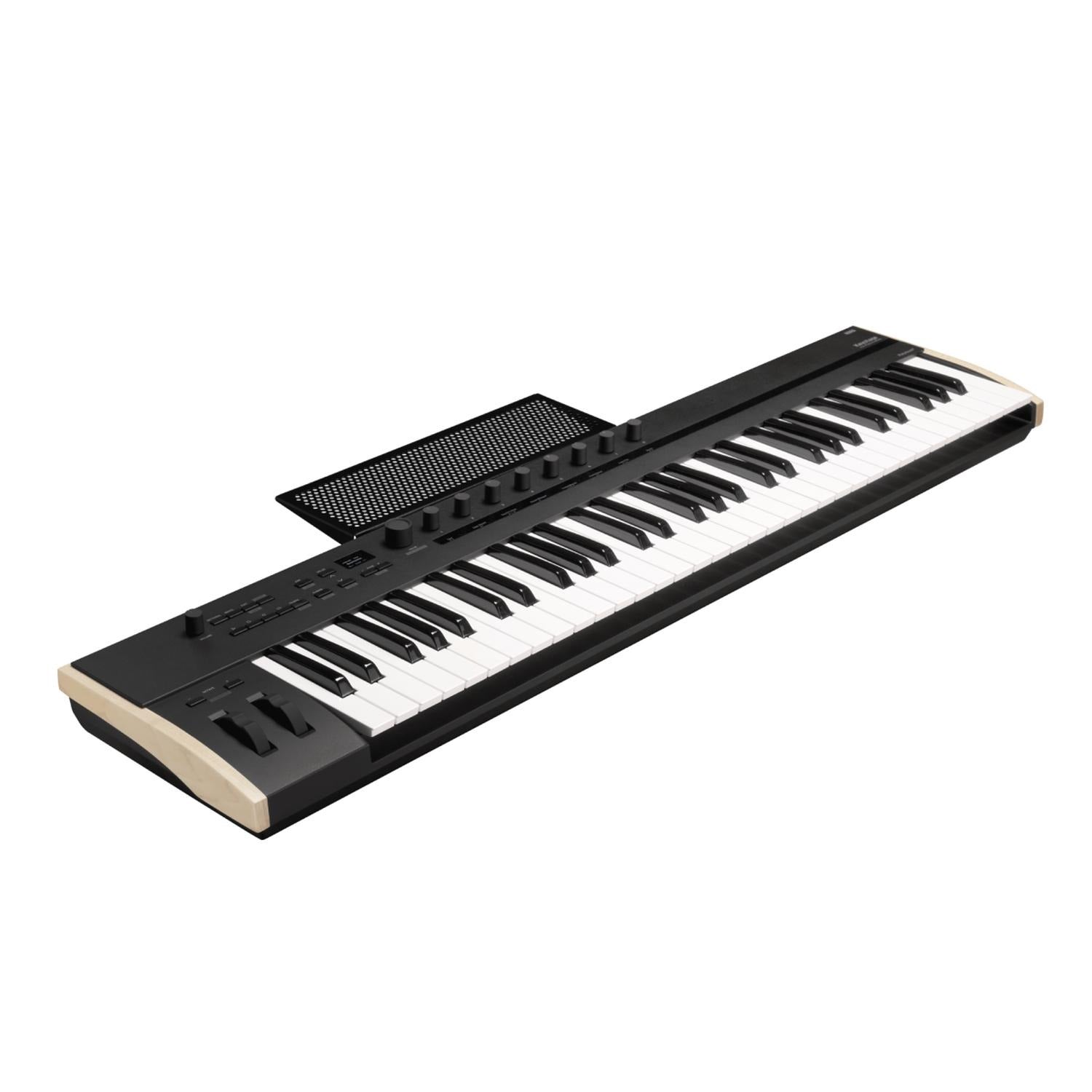 Korg Midi Controllers Korg Keystage Midi Controller Keyboard #style_61-keys