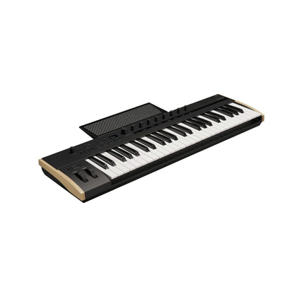 Korg Midi Controllers Korg Keystage Midi Controller Keyboard 